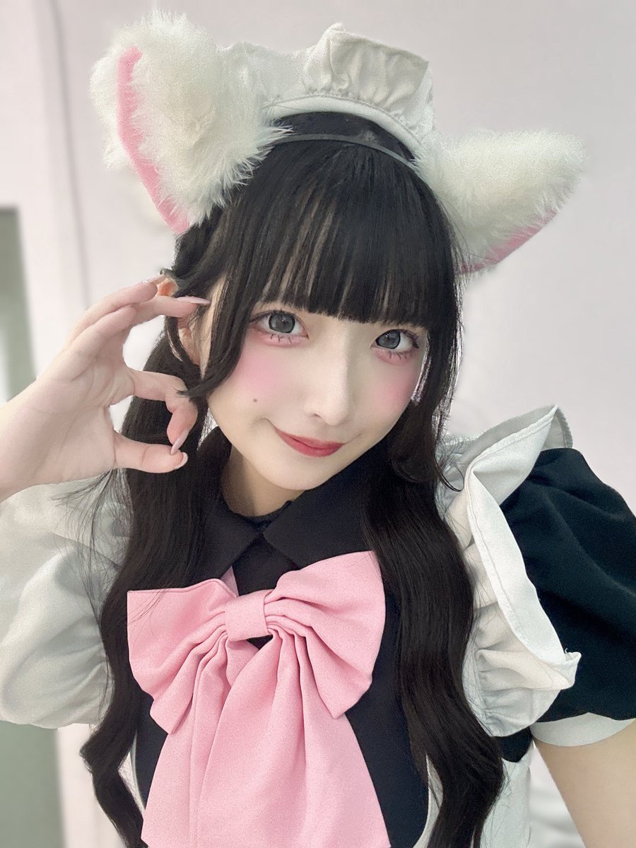 にゃあせ (@maid_nyaase) / Posts / X