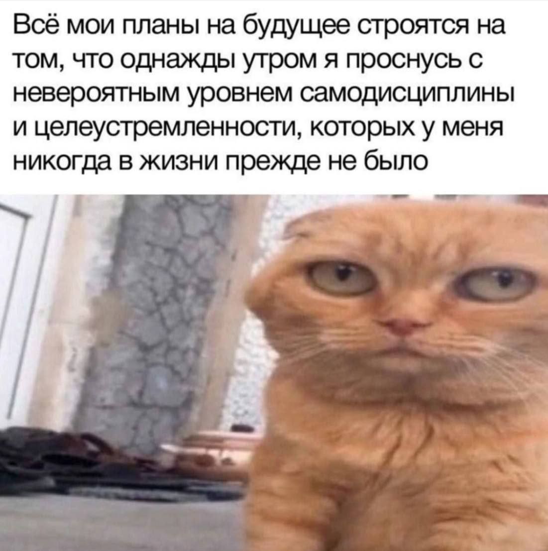 catsilcats's tweet photo. https://t.co/XilLEkXqeR