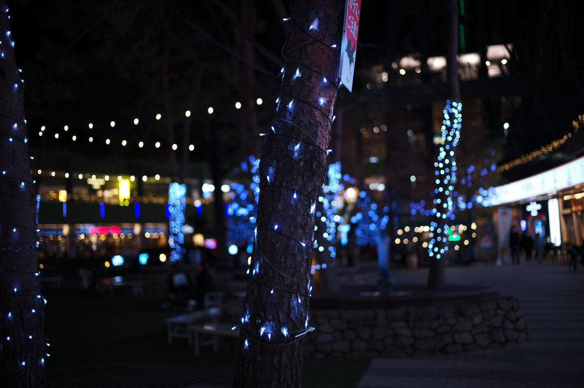 srmr_coke00's tweet image. 夜の東京ドームシティに行ってきました🎡
久々の観覧車からの景色はめちゃよかった～
刀剣乱舞のコラボもしていてオタクさんたちも楽しそうだった⚔️
都心の遊園地はアクセス最高で大好きなのでずっとあって欲しいな…

#東京ドームシティ
#観覧車
#leica
#m11p