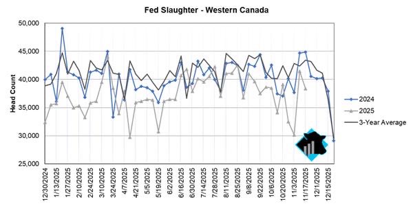 Slaughter in Western Canada is down 7.6% from last year and 11% less than the 3-year average. Through the week ending November 22nd, approximately 244,300 fewer cattle have been harvested in W. Canada than the 3-year average.
￼