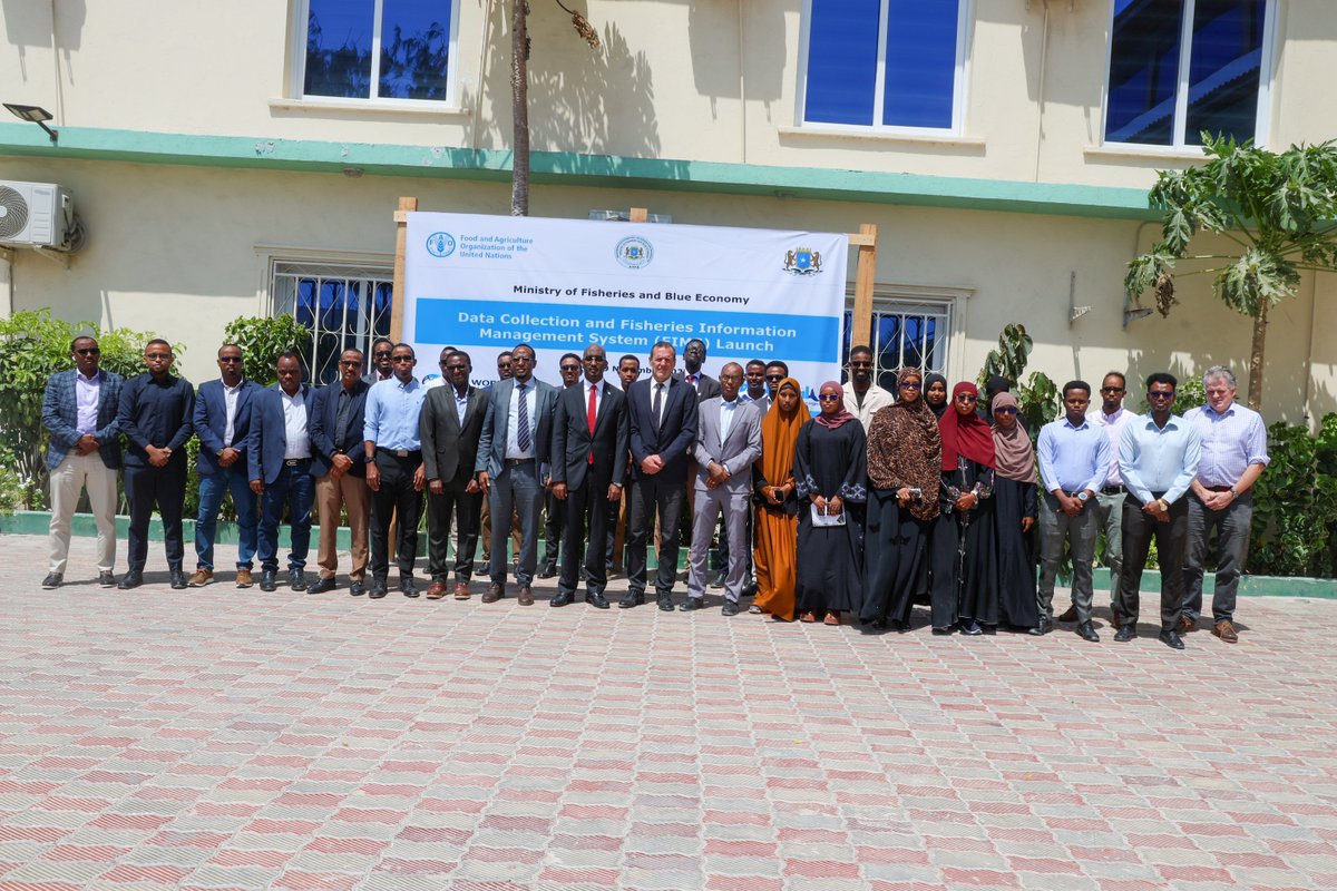 FAOSomalia's tweet photo. A milestone for Somalia’s #bluetransformation!   

We have launched the Development of a new Fisheries Information Management System (FIMS) —ushering in a new era of accurate data, transparent reporting, &amp; evidence-based fisheries management.   

#BetterProduction #BlueEconomy https://t.co/MmDLi1iLUT