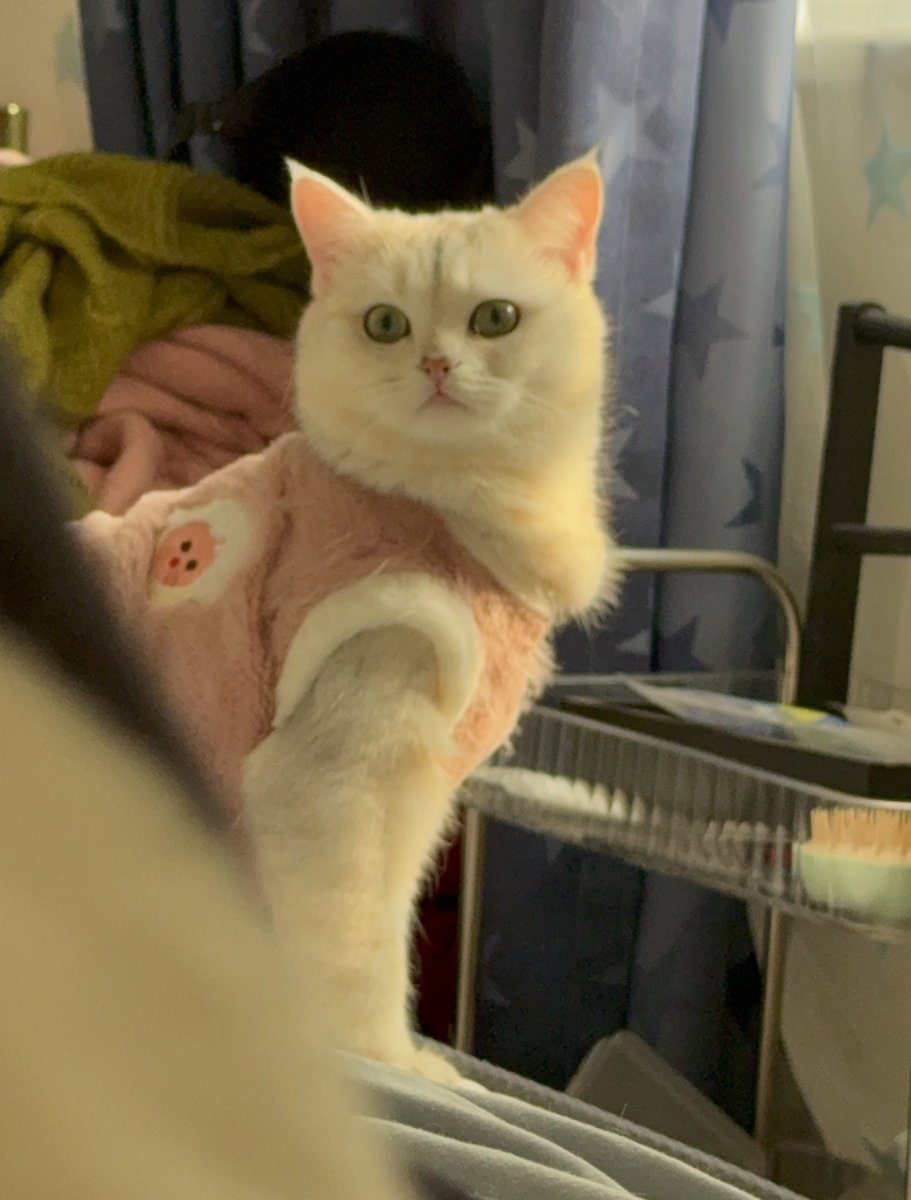 黄推福利内容 - 清蒸奶嗝宝的精彩图片 福利姬清蒸奶嗝宝分享的黄推图片3 - 网红私拍内容