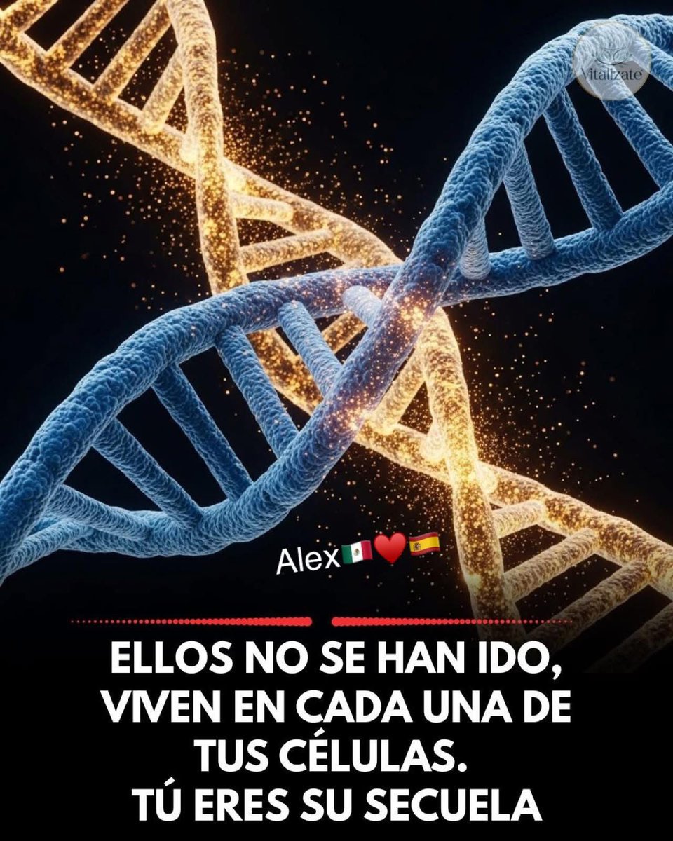 Buenos días ☀️ 

La biología del duelo: Por qué nunca los pierdes del todo (aunque duela) 🧬❤️

A medida que envejecemos, ese hueco de "extrañar a papá o mamá" a veces se siente físico. Como si faltara una parte de nosotros. La neurociencia y la genética tienen una respuesta