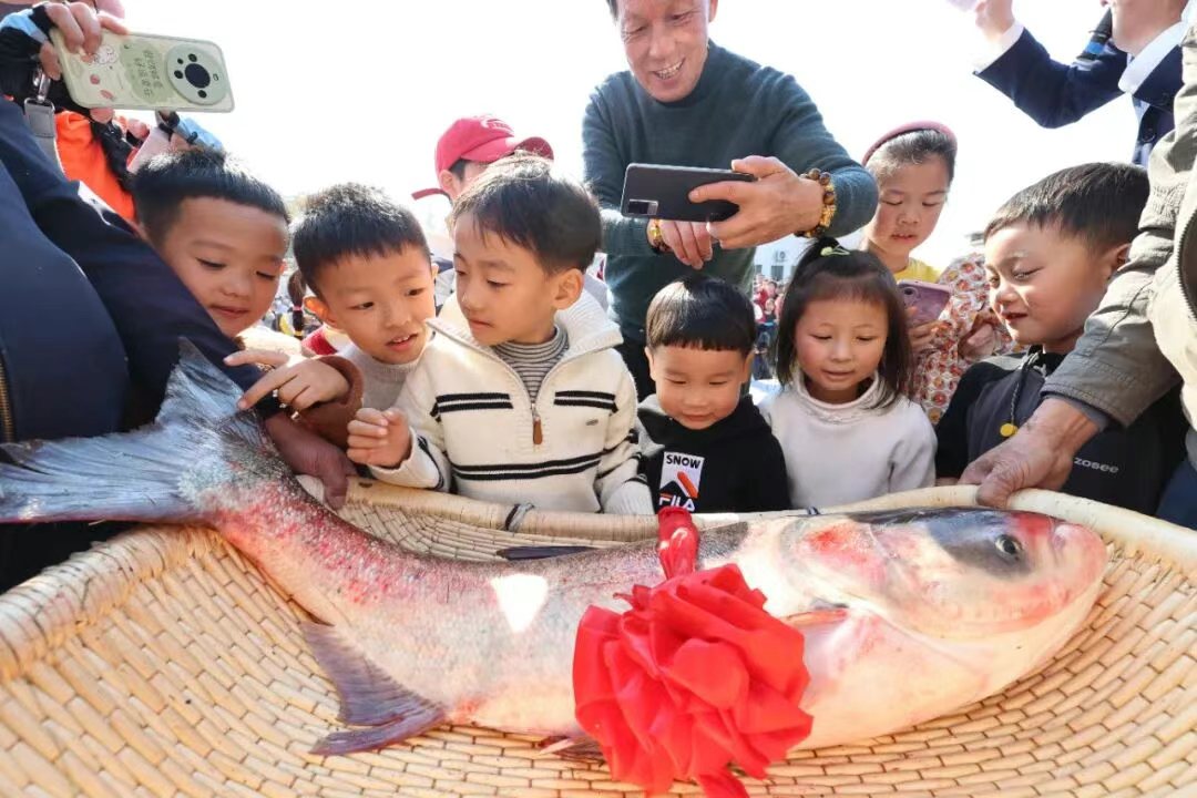 LikeBinzhou's tweet photo. The millennial fishing ritual at #XiazhuLake is simply amazing! 
The ancient fishing ritual at Xiazhu Lake in Deqing, China, is in full swing — and it’s absolutely captivating! This thousand-year-old tradition has drawn thousands of visitors from across China to the wetlands. https://t.co/q0Ch0ZEiTY