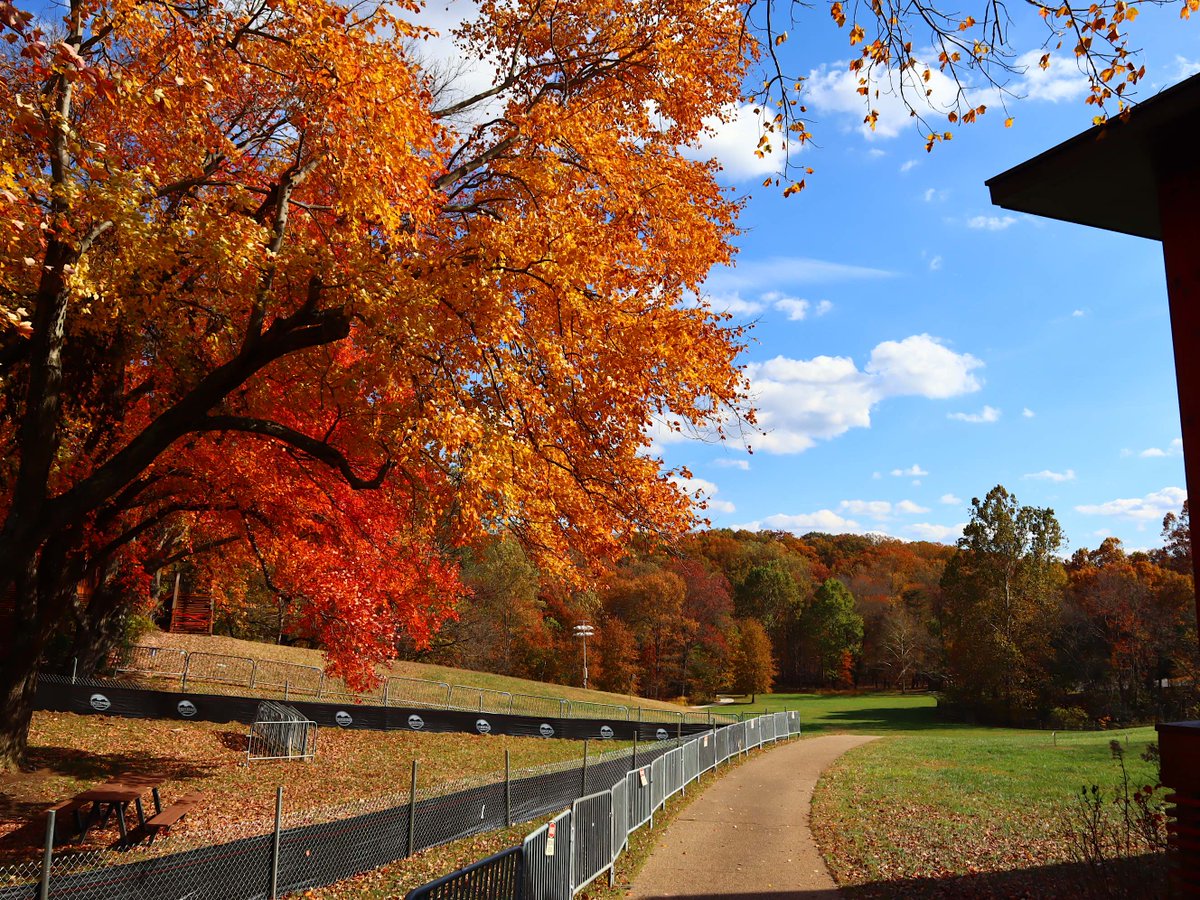 Friends of Wolf Trap National Park tweet media