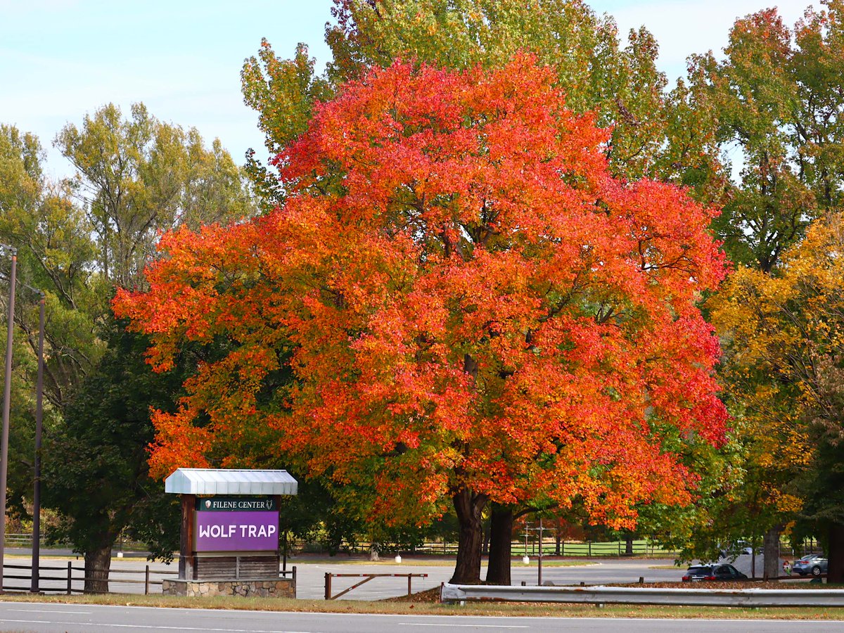 Friends of Wolf Trap National Park tweet media