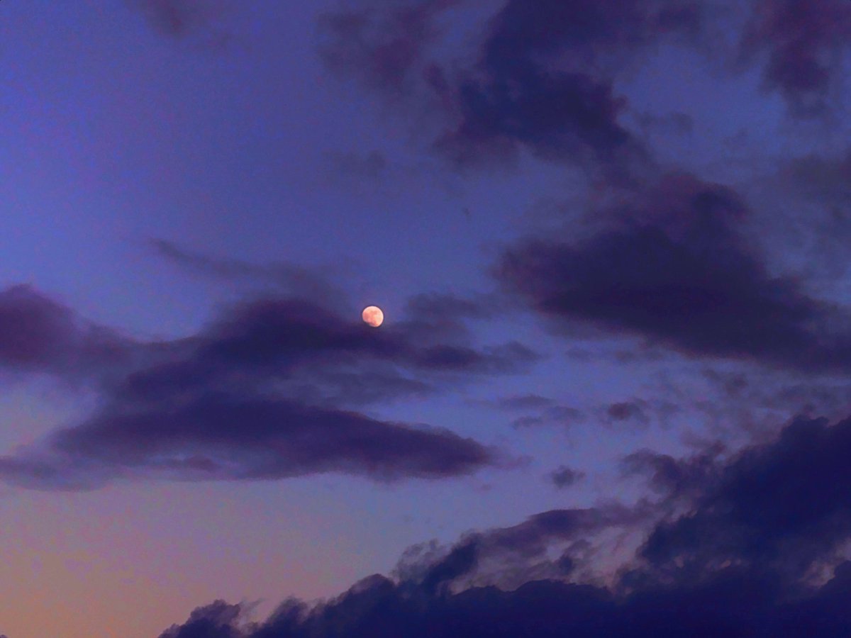 asdfSpeec36063's tweet image. moon and clouds