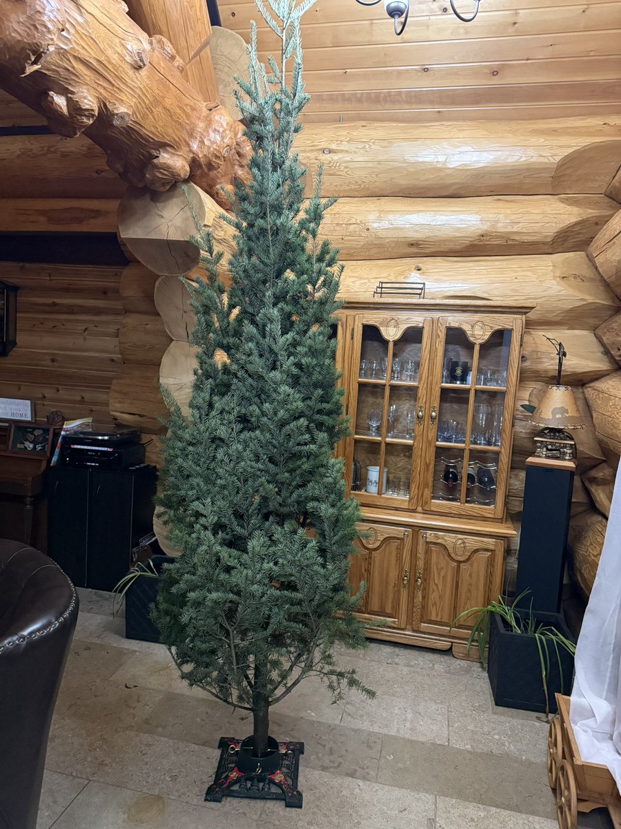 Do you like real ones or fake ones? Comment why?