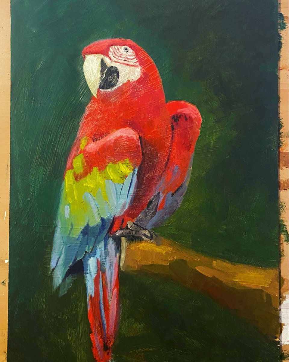 YigitCakar's tweet photo. I ALSO DRAW BIRDS https://t.co/b7eCwZYqPw