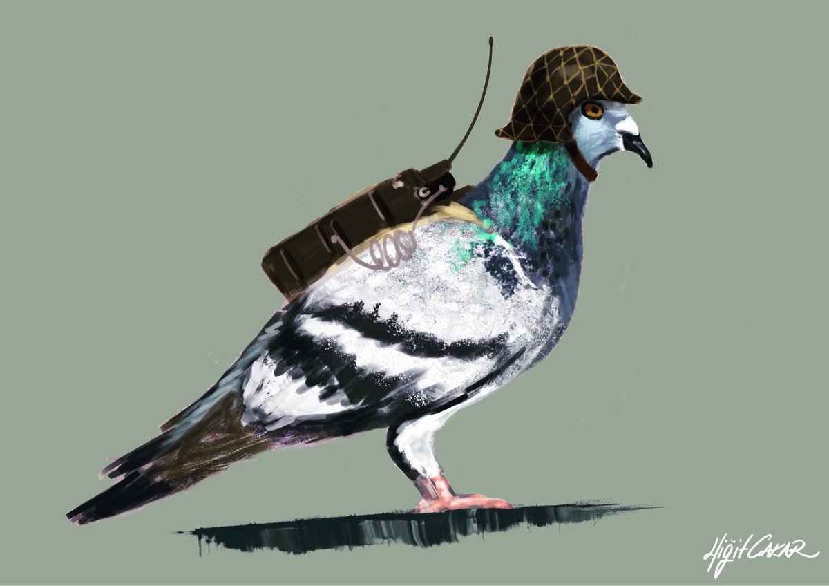 YigitCakar's tweet photo. I ALSO DRAW BIRDS https://t.co/b7eCwZYqPw
