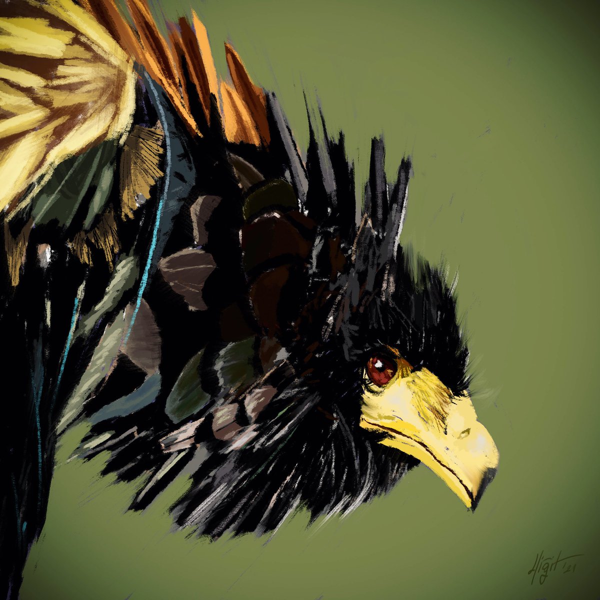 YigitCakar's tweet photo. I ALSO DRAW BIRDS https://t.co/b7eCwZYqPw