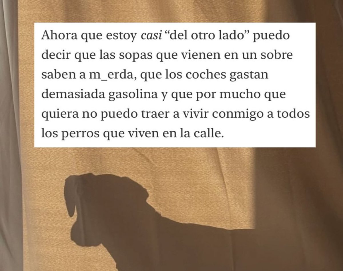 Móny Barba tweet media