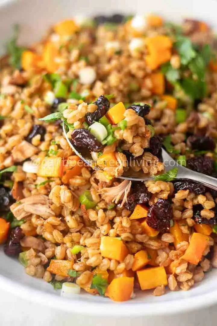 Farro salad with turkey &amp; roasted squash — wholesome and delicious! 🥙
caribbeangreenliving.com/farro-salad-wi… 
#CaribbeanGreenLiving #LeftoverTurkey #CaribbeanRecipes #DayAfterThanksgiving #HolidayCooking #IslandCooking #TurkeyRecipes #ZeroWasteCooking #ComfortFoodIdeas