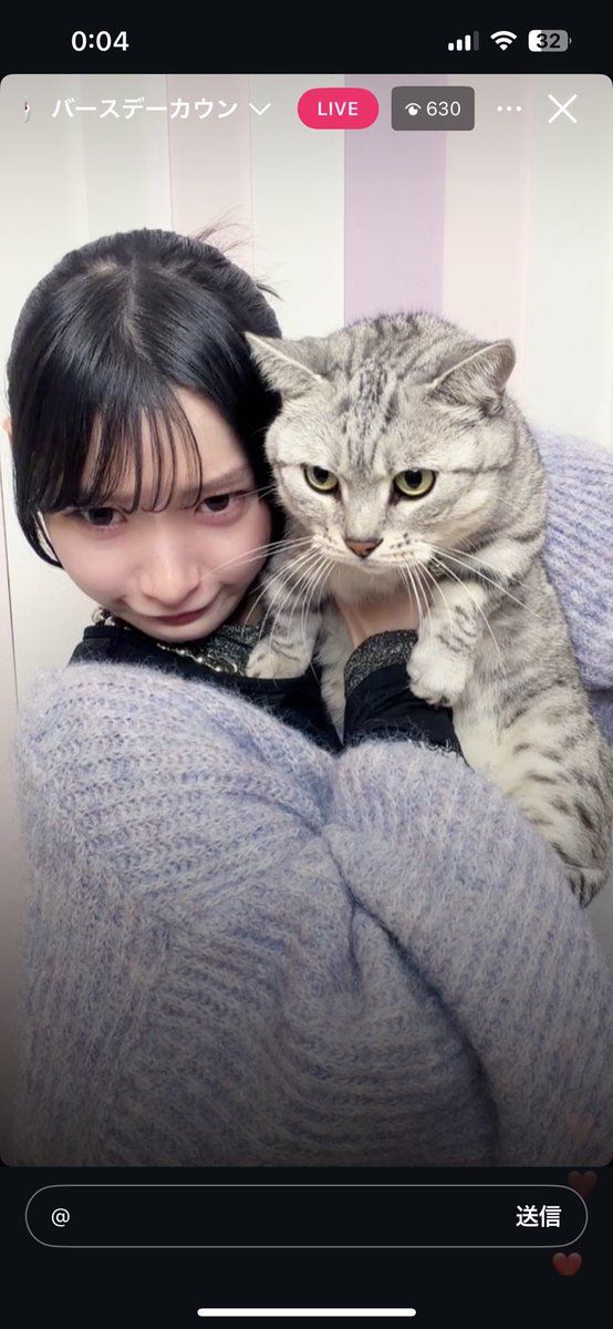 【のぶちゃんやすちゃん様】専用 ノブちゃん様 専用 のぶちゃん✰︎様専用 やーすー様専用 のぶちゃん