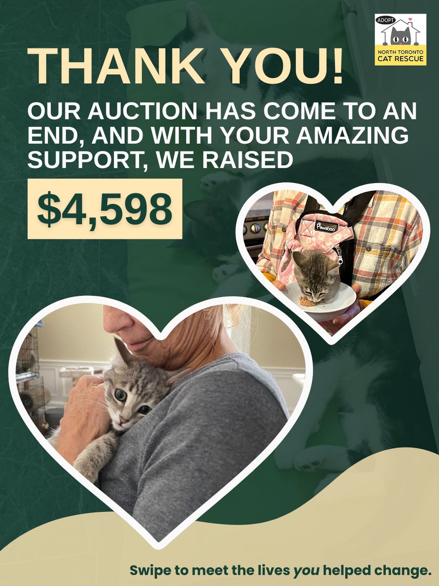 Our auction has closed and because of your kindness, we raised $4,598 — and honestly, the timing couldn’t have been more critical.
We’ve just welcomed 9 new intakes and are preparing for others arriving this weekend.