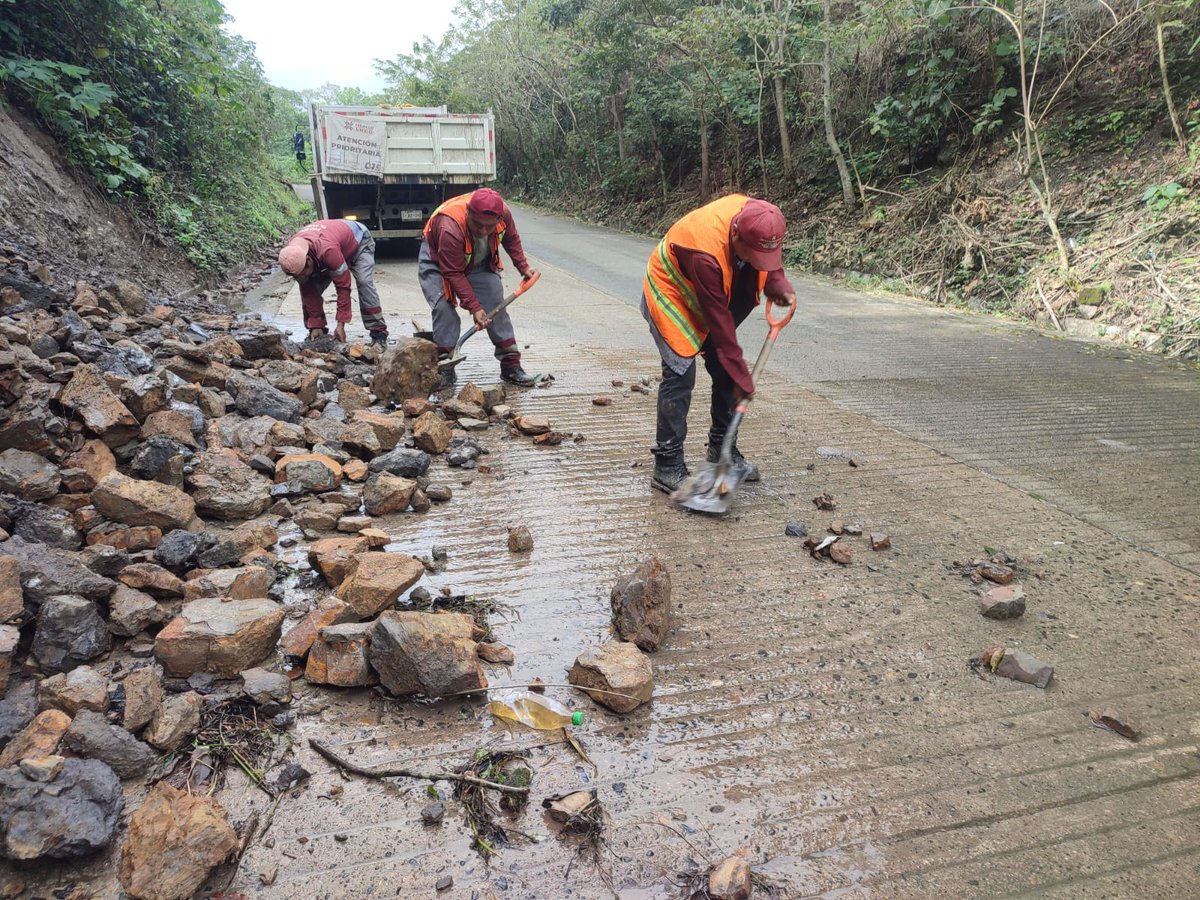 juliomenchaca_'s tweet image. En Huejutla de Reyes y Tlanchinol continuamos con los trabajos de retiro de árboles caídos y escombros en los tramos Jaltocan–Coacuilco y Orizatlán–Coacuilco–San José–Pachuca–Tempoal, para restablecer la comunicación entre localidades y apoyar a las familias afectadas.…