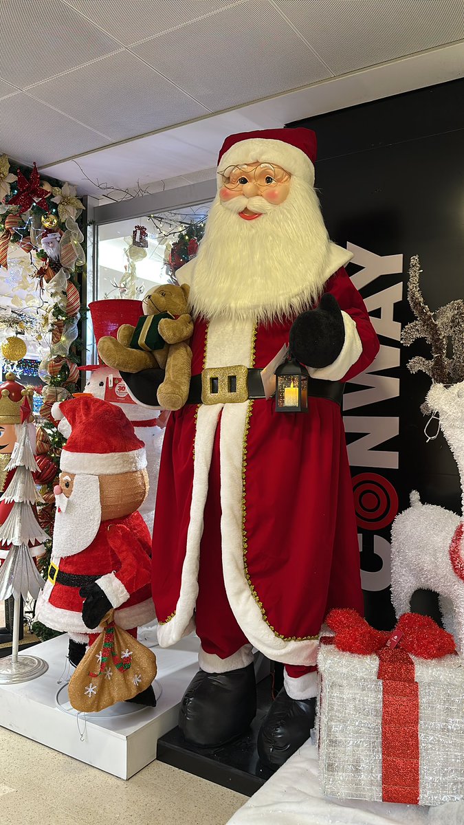 Este me estaba coqueteando ayer 🤣🤣🎄