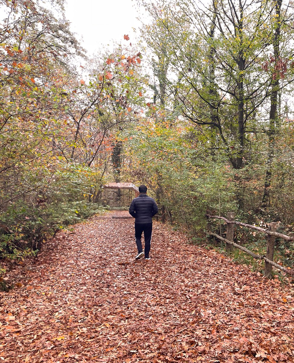 Vakit sonbahardan kışa geçiş, bir sonbahar daha geçiyor ömürden…