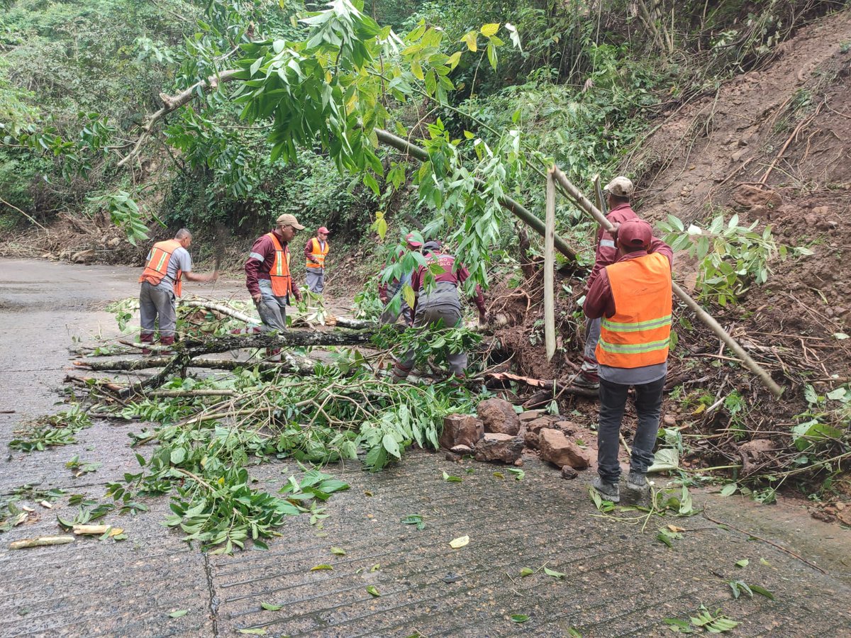 juliomenchaca_'s tweet image. En Huejutla de Reyes y Tlanchinol continuamos con los trabajos de retiro de árboles caídos y escombros en los tramos Jaltocan–Coacuilco y Orizatlán–Coacuilco–San José–Pachuca–Tempoal, para restablecer la comunicación entre localidades y apoyar a las familias afectadas.…