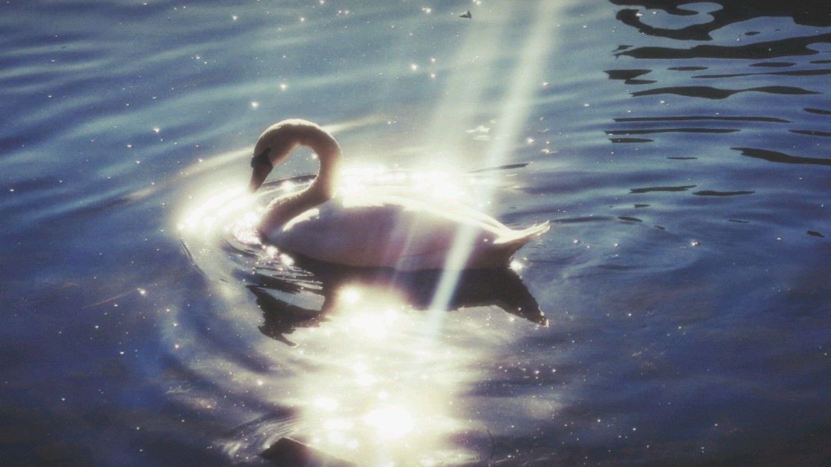 Last day of November… 
and I’m still in love with you