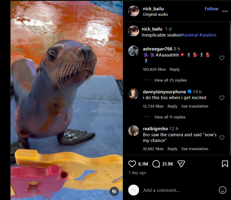 #茄子
0xd0d5ff4c23f294f0b2f629dc1e2c57b09c374444
算是一眼看到就覺得很好的動物IP 
就是一隻會喊POP 的海獅
海外的視頻和國內的視頻都很火
輕輕按頭上
很可能是下一個大M級別的標地