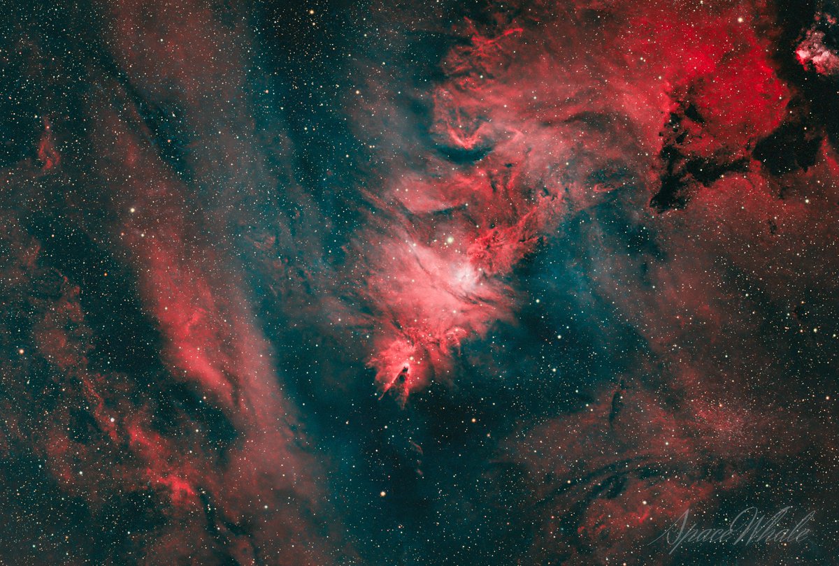 NGC2264 크리스마스트리 성운입니다.

크리스마스 트리가 보이시나요?

아 ㅋㅋ 크리스마스 1도 기대 안되는데;;