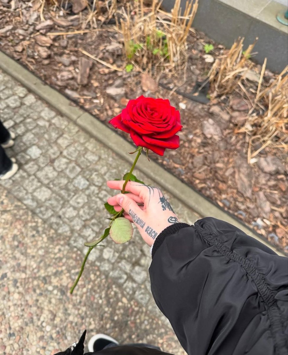 bellxh_'s tweet image. 𝐖𝐢𝐭𝐜𝐡𝐞𝐬’ 𝐦𝐨𝐧𝐭𝐡. #visualNS ❞