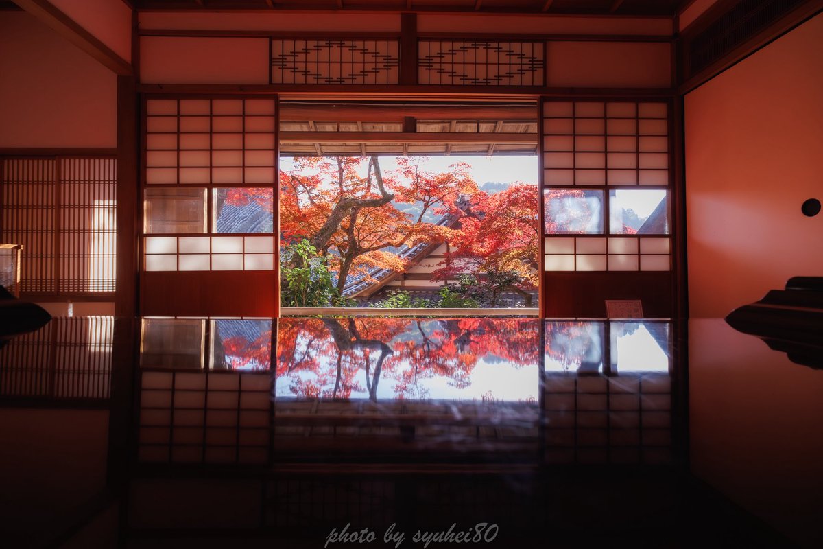 syuhei80's tweet photo. 京都紅葉巡り🍁
行って見たかった所車で行ったから行けた🙌

#京都　#紅葉　#そうだ京都いこう https://t.co/CAIsGkLvVL