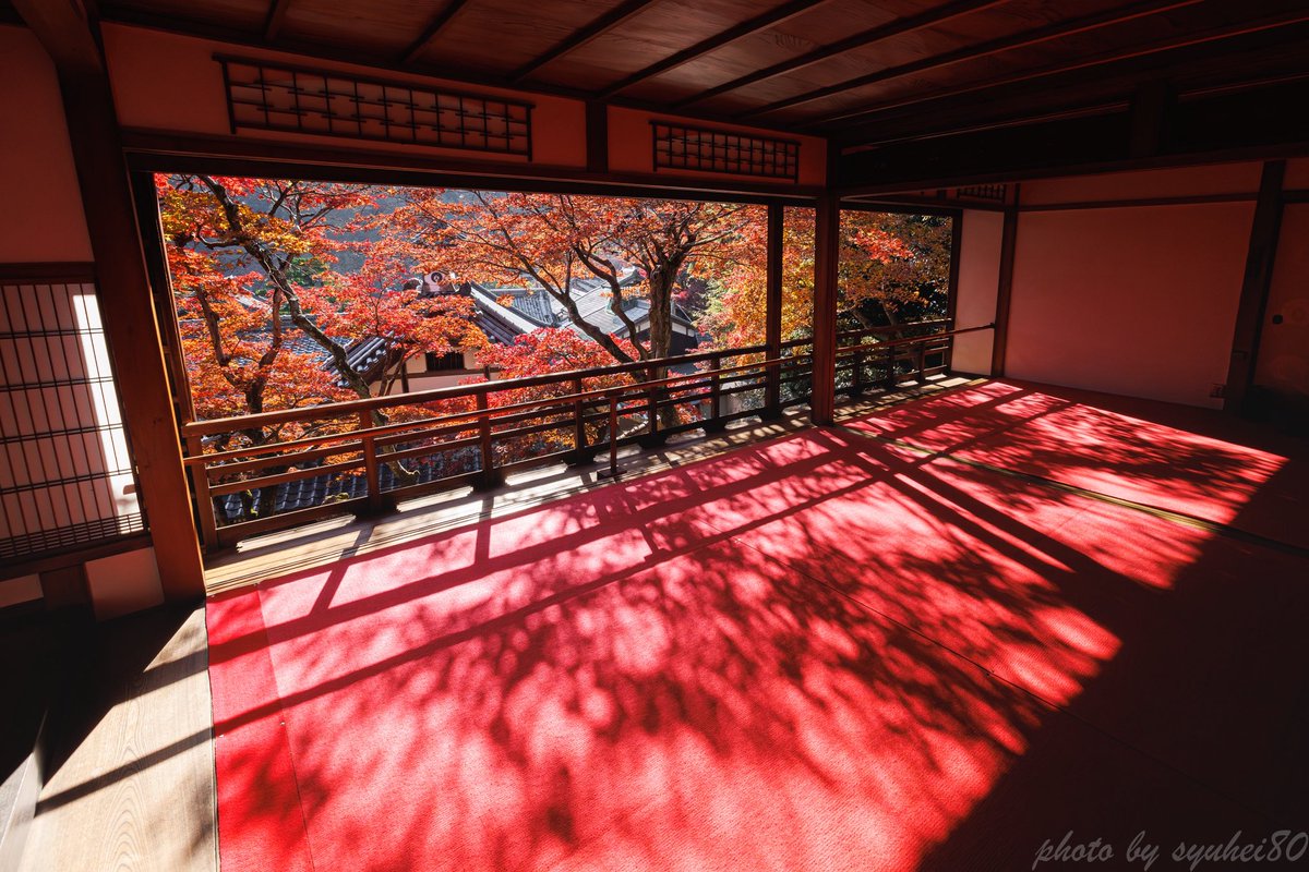 syuhei80's tweet photo. 京都紅葉巡り🍁
行って見たかった所車で行ったから行けた🙌

#京都　#紅葉　#そうだ京都いこう https://t.co/CAIsGkLvVL
