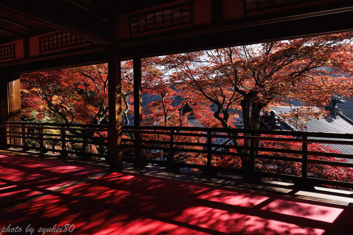 syuhei80's tweet photo. 京都紅葉巡り🍁
行って見たかった所車で行ったから行けた🙌

#京都　#紅葉　#そうだ京都いこう https://t.co/CAIsGkLvVL
