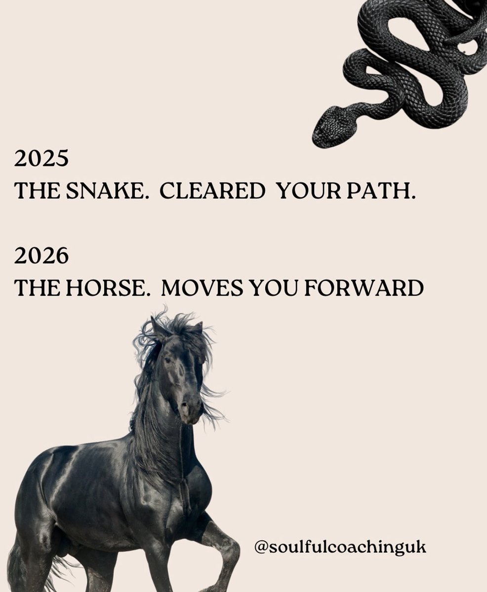 poisonpluto's tweet photo. 2025 was year of the Snake 🐍 
2026 will be year of the Horse 🐎 https://t.co/ujtqONFT6y