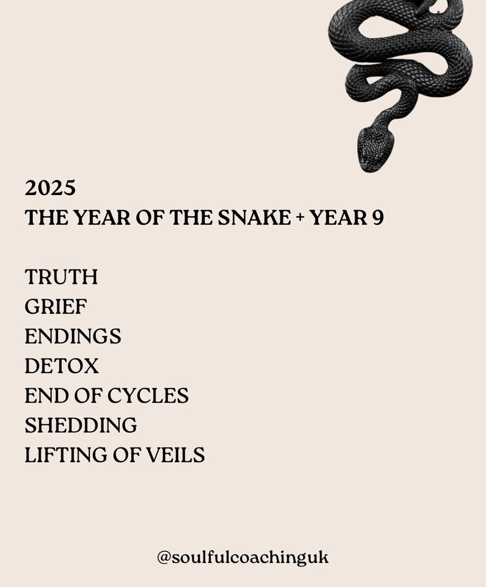 poisonpluto's tweet photo. 2025 was year of the Snake 🐍 
2026 will be year of the Horse 🐎 https://t.co/ujtqONFT6y