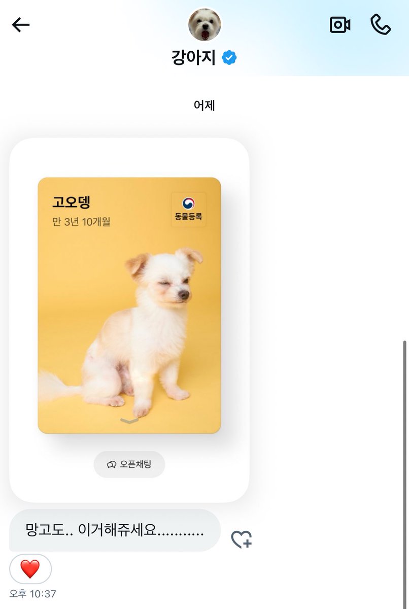 망고도 호떡이랑 오뎅이덕분에 유행탑승🐶