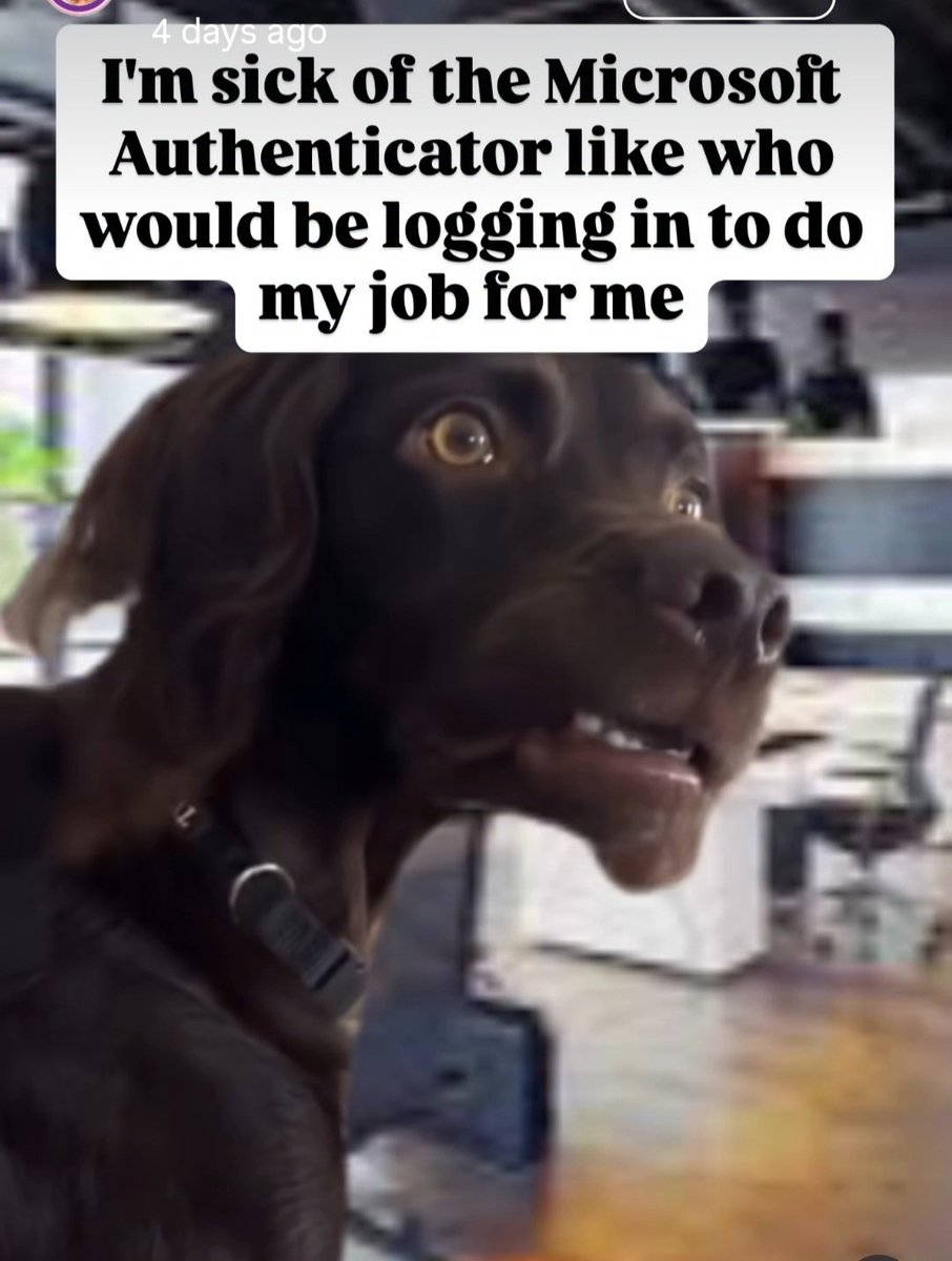 suttylass's tweet photo. The daily struggle 😂
#AuthenticatorApp https://t.co/W59oy2PTz6