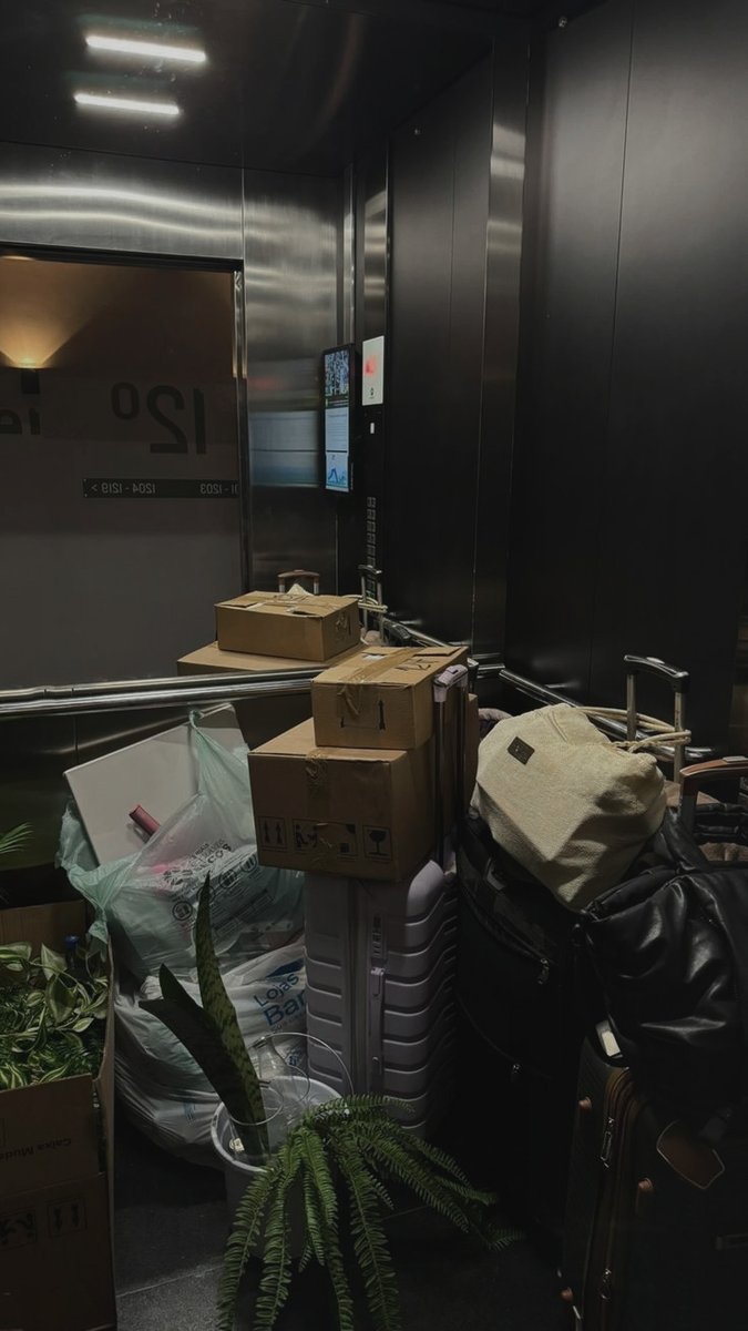 _cxllide's tweet image. ⠀⠀⠀ ⠀⠀ ⠀⠀

⠀⠀⠀ ⠀⠀ ⠀⠀⠀⠀⠀ ⠀⠀ ⠀⠀    （ 夜に駆ける ）
⠀⠀⠀ ⠀⠀ ⠀⠀⠀⠀⠀ ⠀⠀ ⠀⠀⠀⠀⠀  #visualns 

⠀⠀⠀ ⠀⠀ ⠀⠀