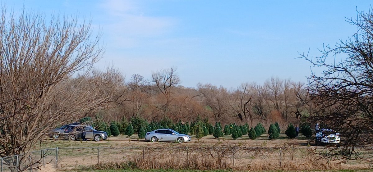 Mark Voth tweet media