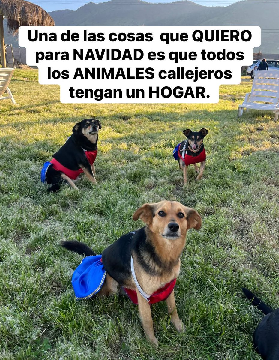 Guadalupe Ramirez tweet media