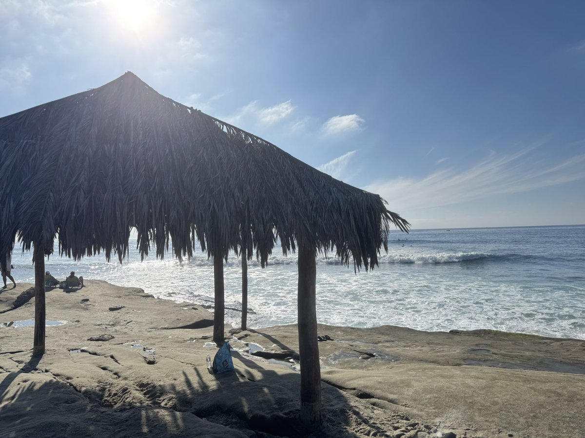 Bazinga🦋 tweet media