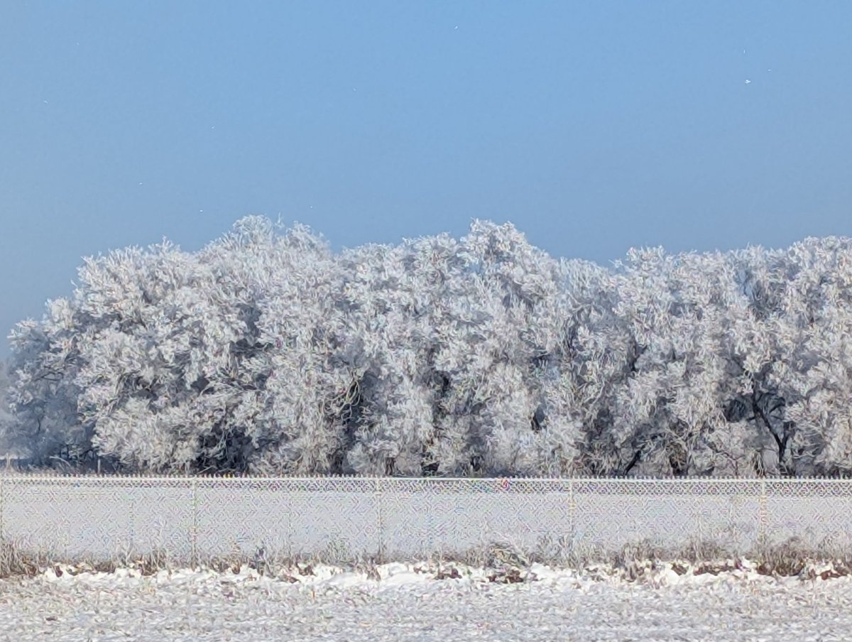 Timeline cleanse just to appreciate nature.