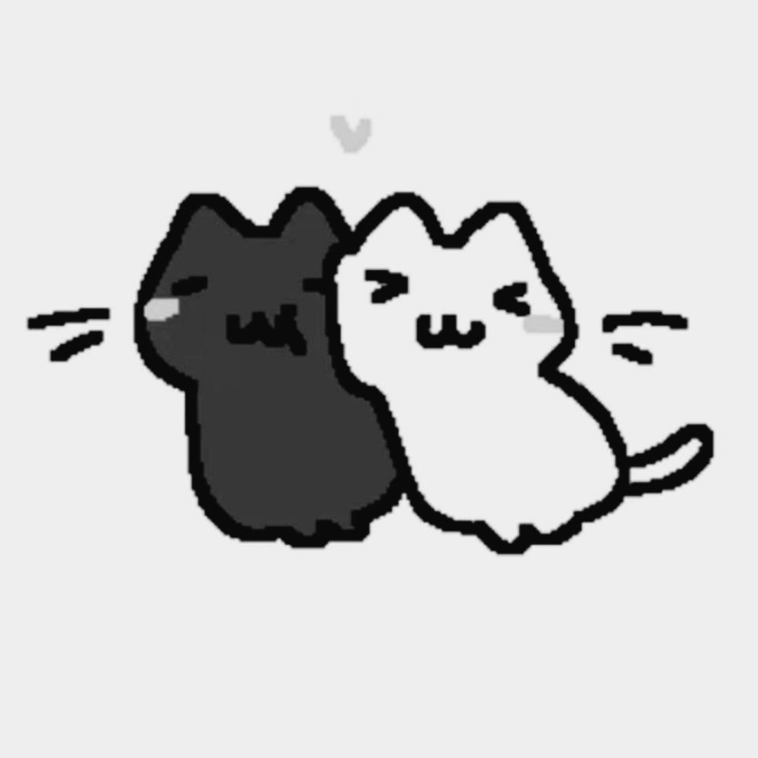 ^•⩊•^♡