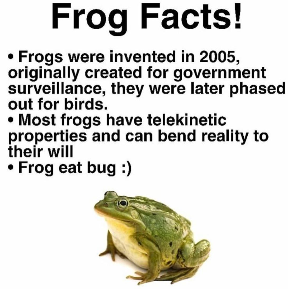 The Frog Pond tweet media