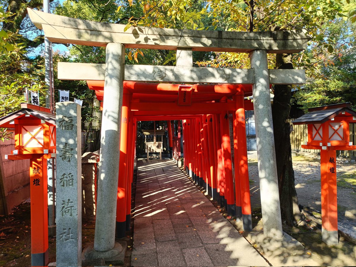 名古屋市 中 桜