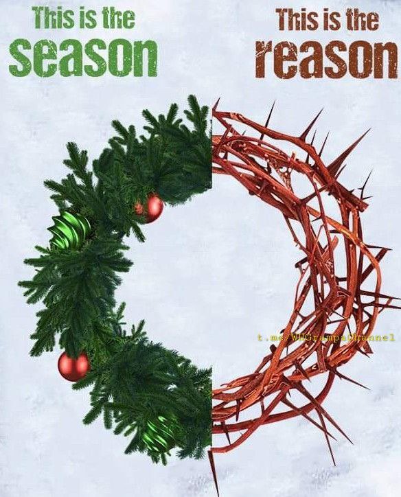 Afternoon everyone.  This is the Season and This is the Reason.  🙏🕊️