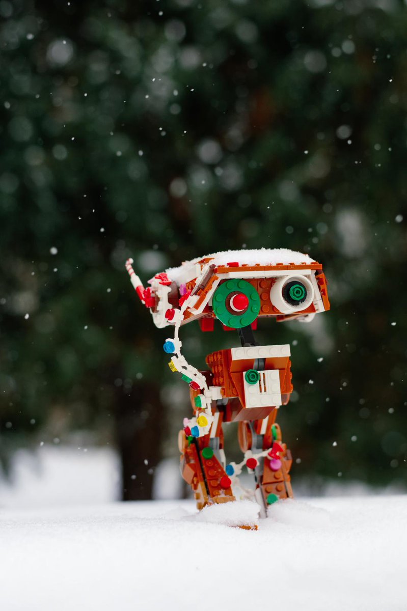 people are sending me photos of all the ginger BDs they've built including this excellent BD braving the winter snow