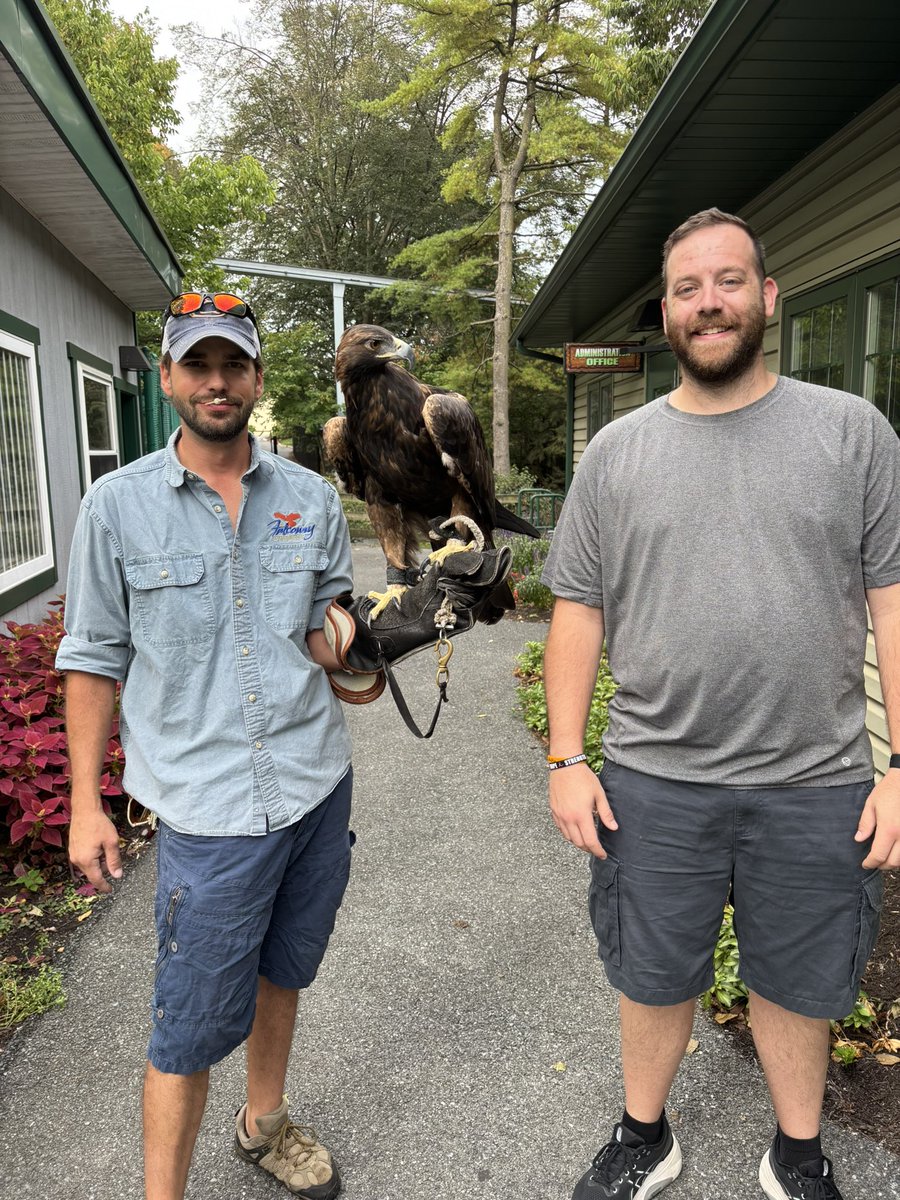 Pete (@consy29) on Twitter photo 