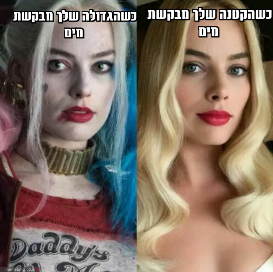 Nutshell0O7's tweet image. לכו לישון! 🙄