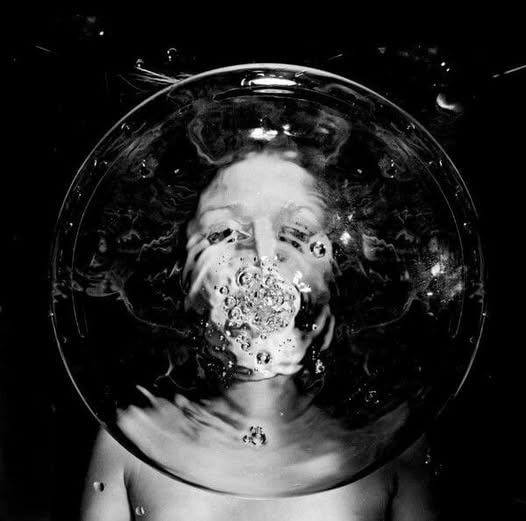literlandweb1's tweet photo. "La peor soledad es no estar a gusto con uno mismo".
Mark Twain
📷Flora Borsi https://t.co/pBa7trQM18