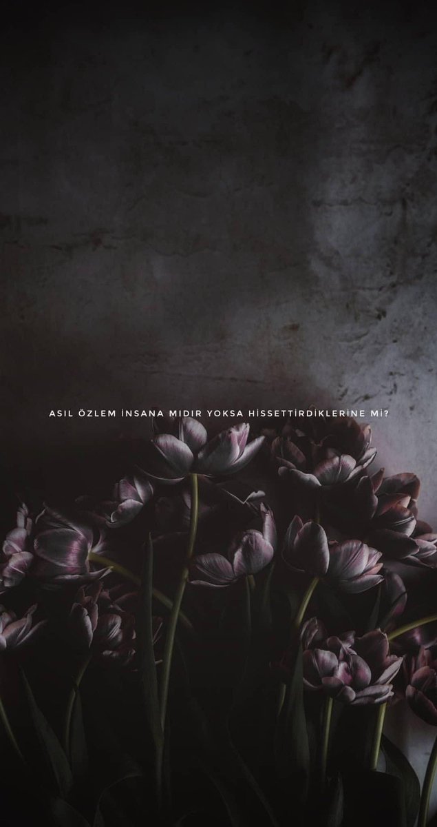 ASIL ÖZLEM İNSANA MIDIR YOKSA HİSSETTİRDİKLERİNE Mİ?