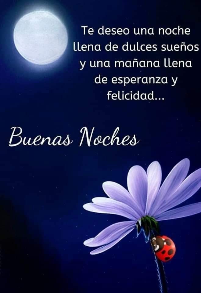 Otra noche que da comienzo,
Con una semana que se nos va, 
Vamos a disfrutar de bonitos sueños, 
Que muy pronto se harán realidad. 
#BuenasNochesATodos 🌠🌟