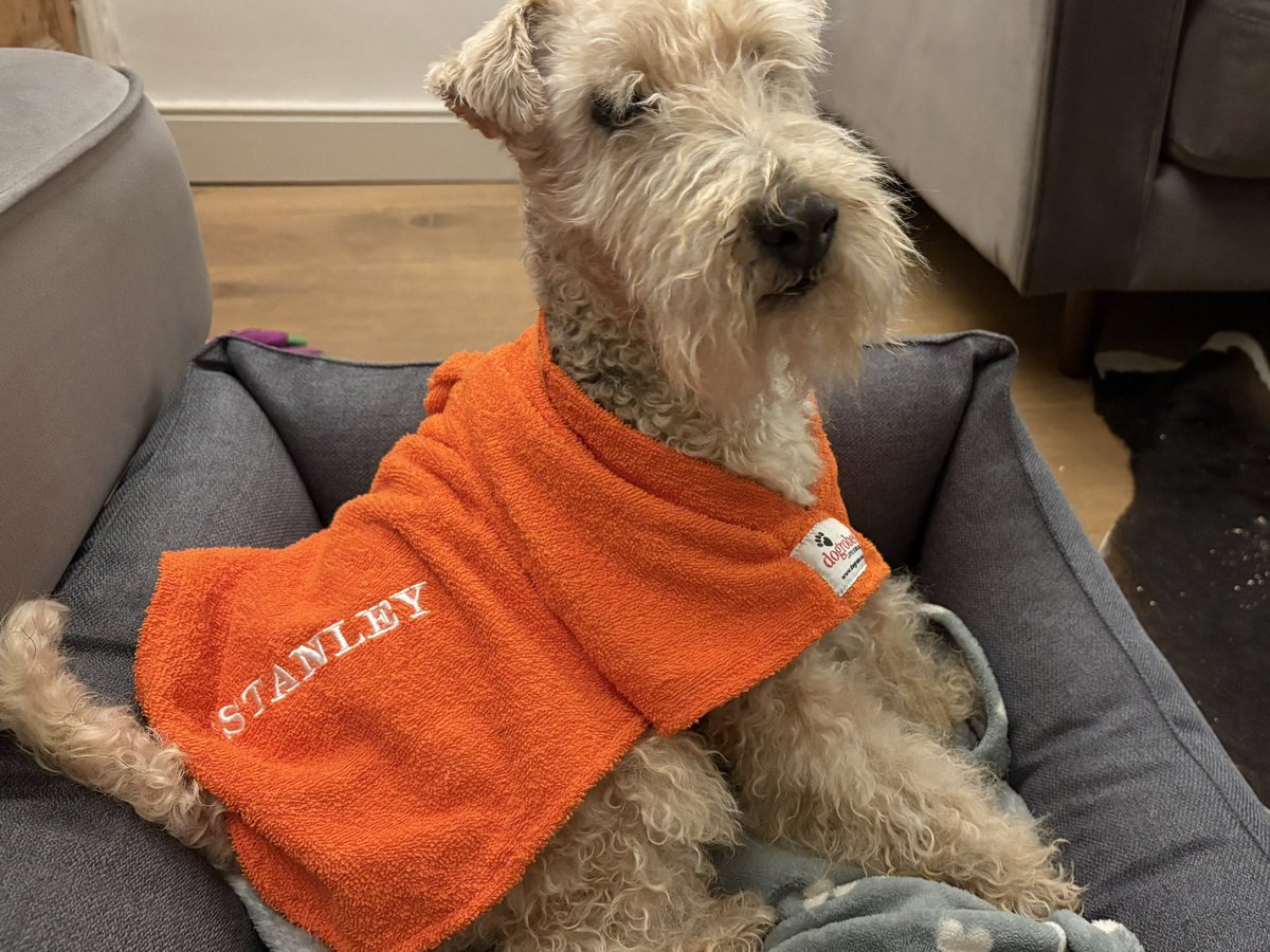 StanleyLakeland's tweet image. Heading home tomorrow pals. Appawrently this involves getting rid of seaside smellyness 😳 #Ridiculous #TotesUnnecessary